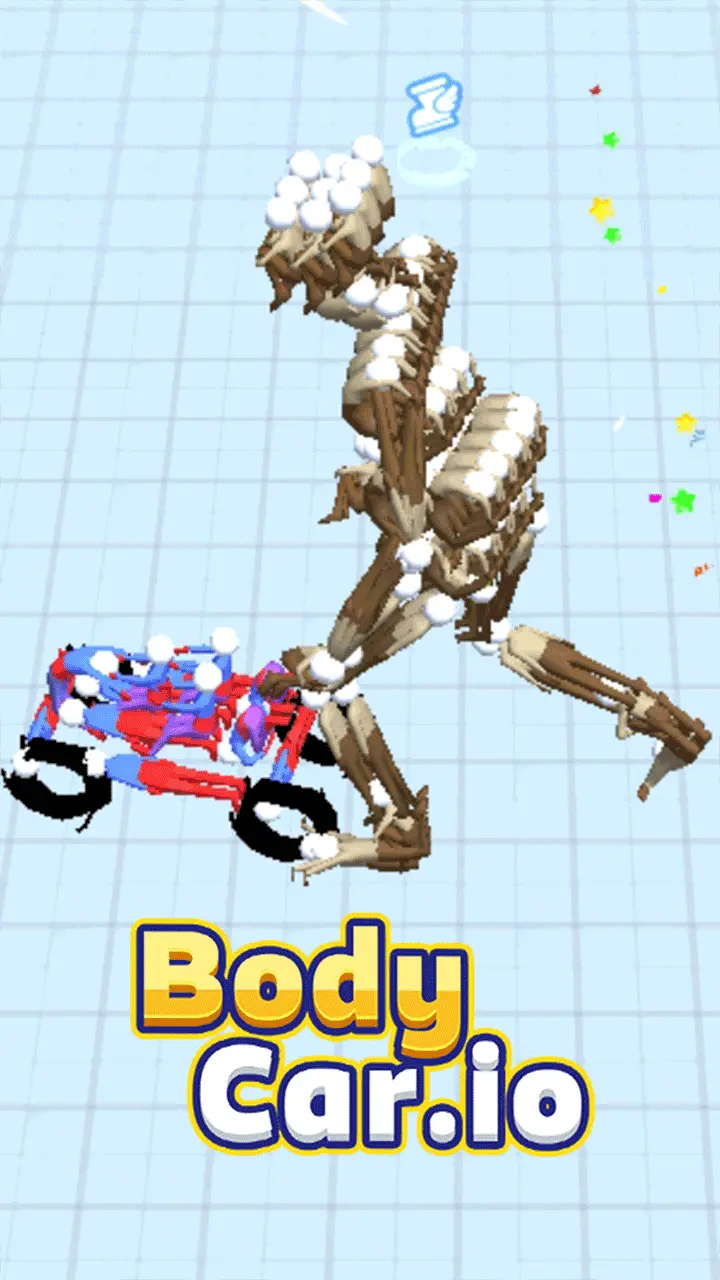 body-car-io