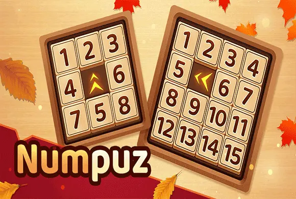 Num Puz 